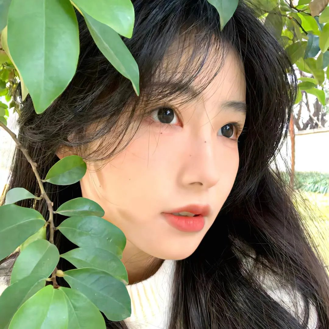 芒果新星班之了不起的艺能